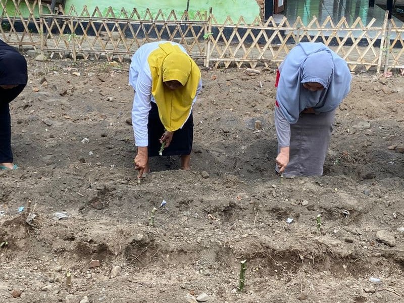 Kebun Literasi